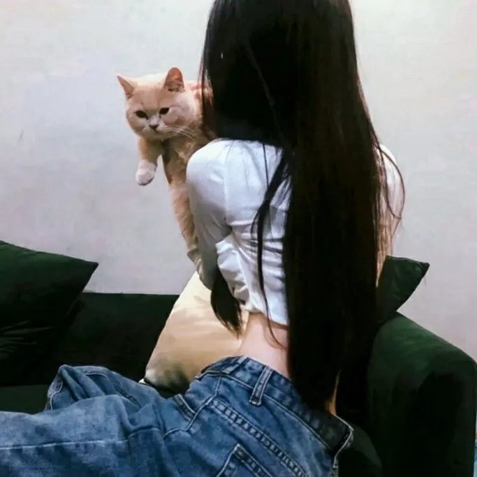 少主且慢行第二季