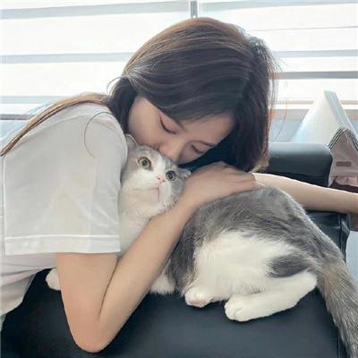 蜂蜜与四叶草